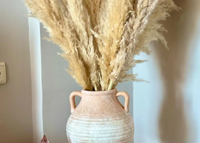 Maison De Lea * Σάλακος